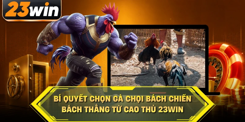 Bí quyết chọn gà chọi bách chiến bách thắng từ cao thử 23win