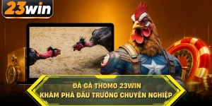 Đá hà thomo 23win khám phá đấu trường chuyên nghiệp